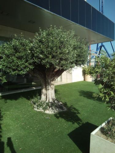 Olimpia Hoteles