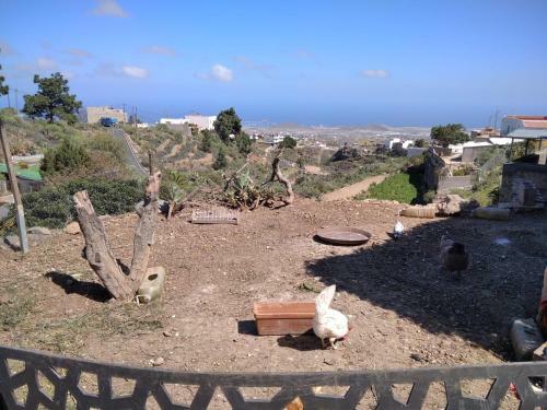 Agroturismo Finca El Arroyo