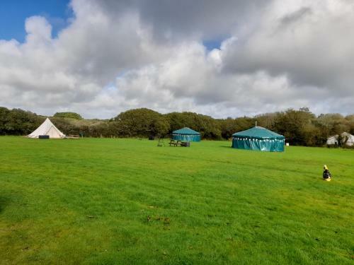 Sycamore Yurt Award Winning Wych Elm Glamping