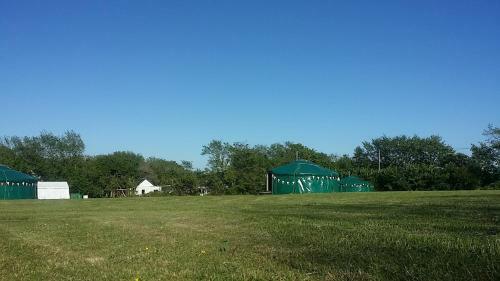 Sycamore Yurt Award Winning Wych Elm Glamping
