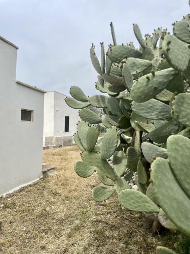 Suggestiva Villa Immersa Nel Verde