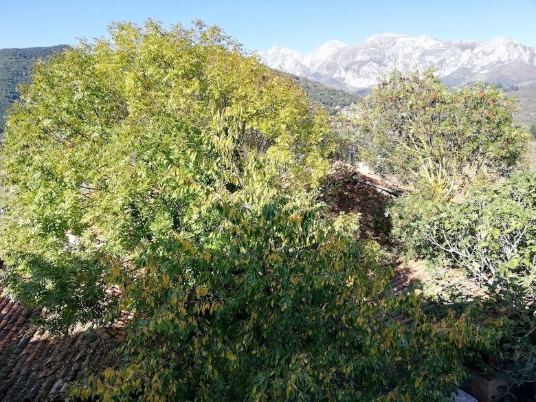 Casa Rural Josefina