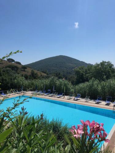 Apartamento Appartamento Con Piscina