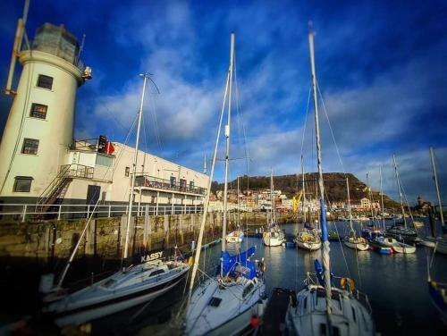 Haddock Hideaway By The Sea - Old Town Scarborough