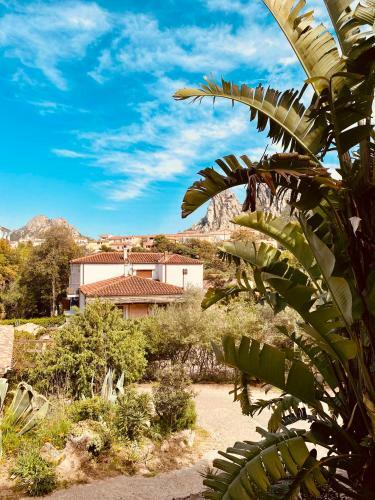 Casa Strelitzia