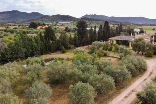 Villa Degli Ulivi Con Piscina