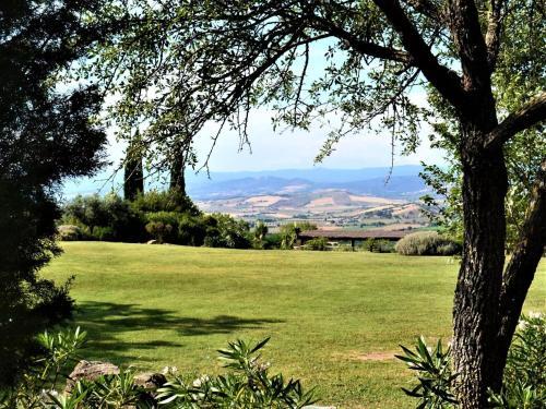 Welcoming Lodge In Scansano With Private Terrace