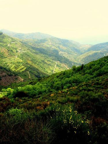 Hostal Il Ritrovo Degli Angeli