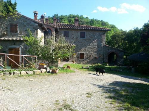 Apartamento Podere Spinabbio
