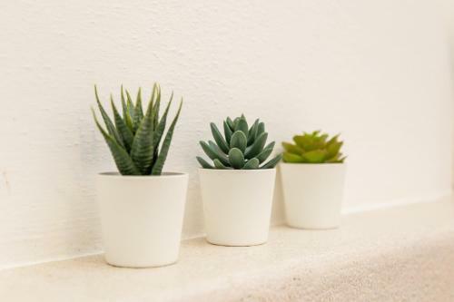 Apartamento Coastal Home