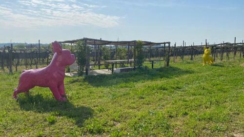 Agroturismo Montecristo Art Country Farm