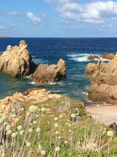 Casa Terrazza B1.14 Costa Paradiso Nord Sardegna