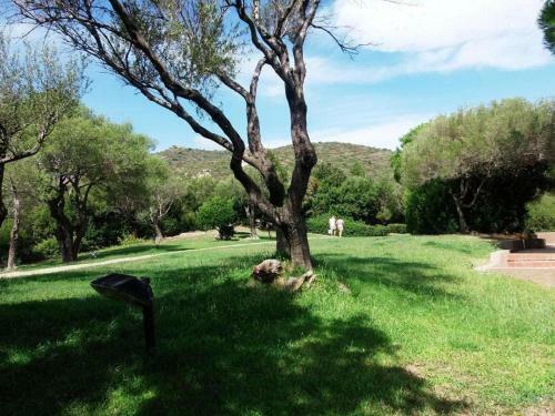 Apartamento Appartamento Costa Smeralda