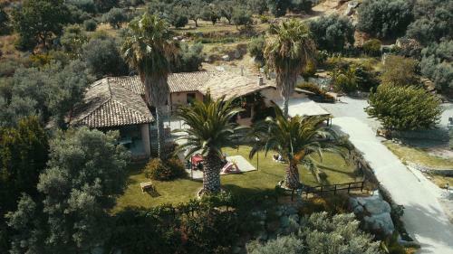 Villa Romeo - Accommodation, Olive Grove & Private Pool