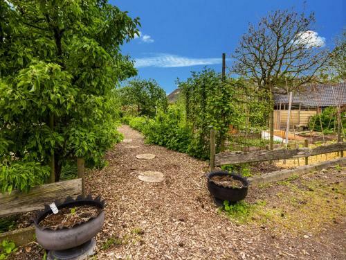 Inviting Apartment In Baflo With Terrace