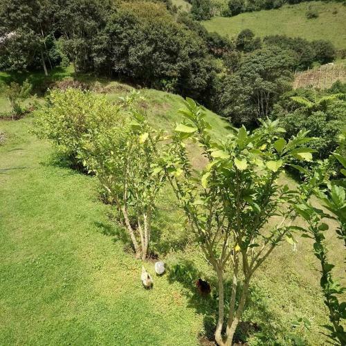 Lodge Hotel Orqu�deas Runtun