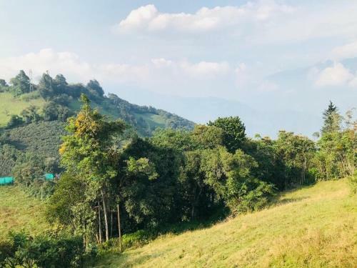 Lodge Hotel Orqu�deas Runtun