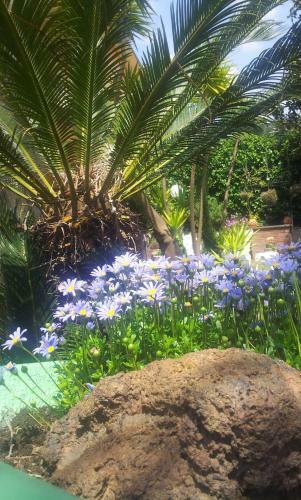 Bed & Breakfast Villa Carmen