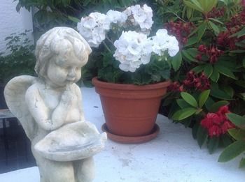 La Rosetta B&B