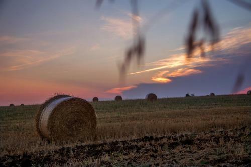 Agroturismo Agriturismo 4 Ricci