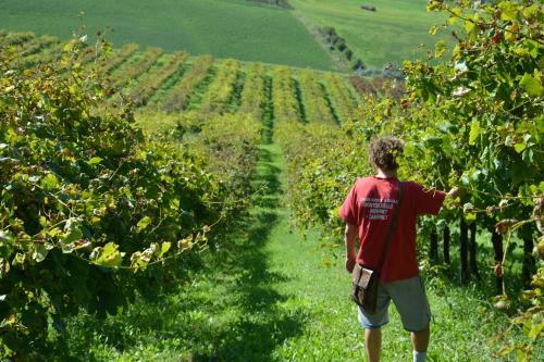 Agroturismo Il Primo Fiore
