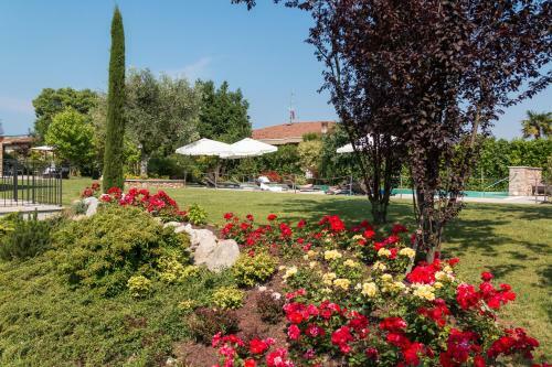 Bed & Breakfast Agriturismo Corte Aurea