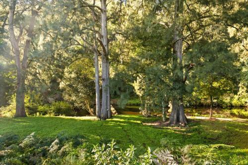 Glenview - Kangaroo Valley