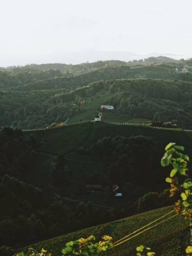 Lodge Winzer Appartements & H�user Kogler