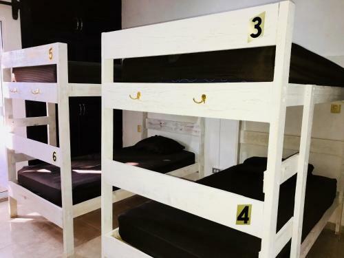 Hostal Bunk Bed In Female Dormitory Room
