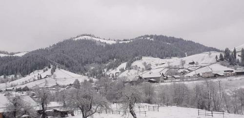 Villa Black Valley House