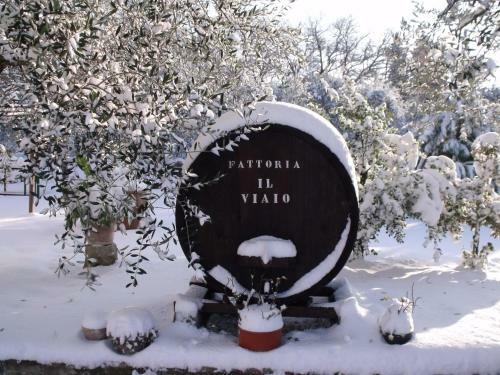 Agroturismo Agriturismo Il Viaio