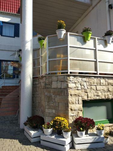 12 Months Mini Hotel