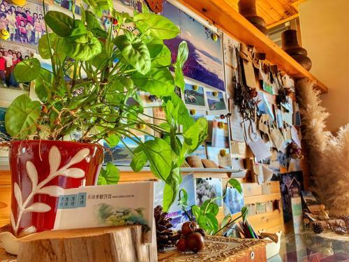 Tian Hsiang Tea B&B