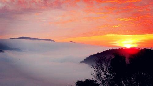 Tian Hsiang Tea B&B