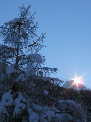 Apartamento Ferienwohnungen Stefan Kr�ll