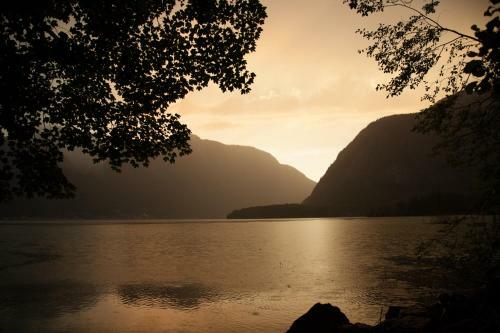 Park Am See