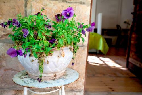 Apartamento A Dream Vacation In Jerusalem
