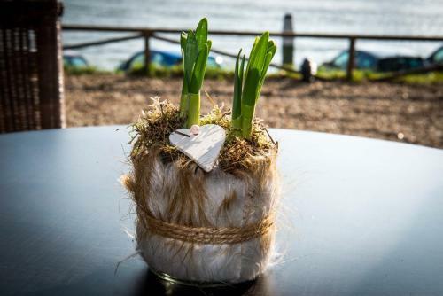 Hotel Restaurant Belv�d�re