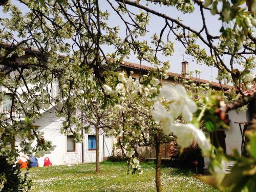 Apartamento Casa Romea
