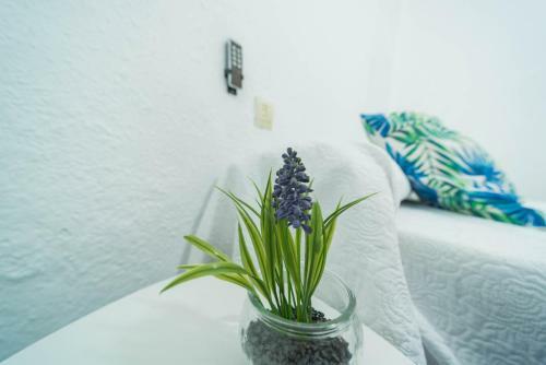 Expoholidays - Apartamento Montesol
