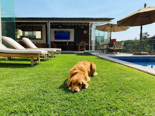Casa Con Vista �nica Alberca Privada Palapa Tv