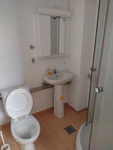Hostal Shale Apartments And Rooms