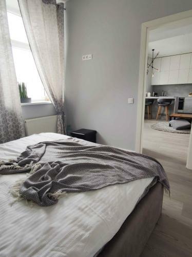 Liep? Apartamentai Centre
