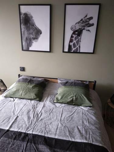 Hostal Room In Bb - At Ten Minutes From The Raviege Lake