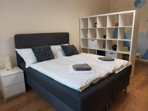 Alf�ldi Palace Apartman