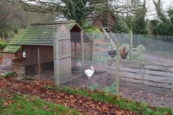 Bed & Breakfast Tovey Lodge