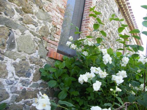 Agroturismo Agriturismo Il Giglio