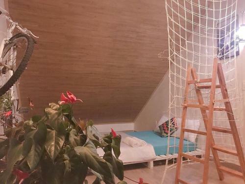 Hotel Eco Home Dalat