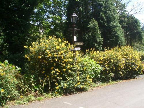 Churchwood Valley