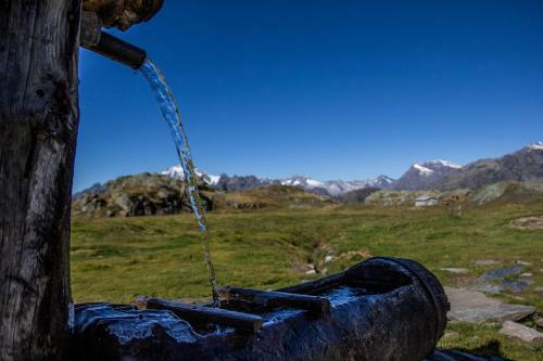 Hostal Rifugio Zoia